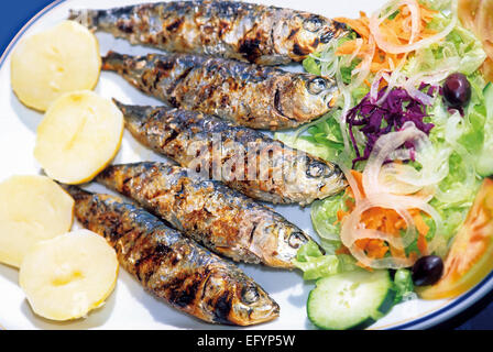 Portugal : le plat typique portugaise "Sardines grillées' Banque D'Images