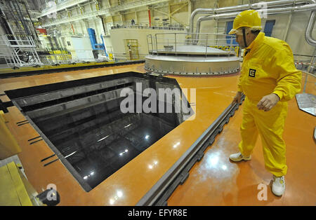 ***PHOTO*** Technicien examine une piscine de refroidissement des combustibles usés dans la centrale nucléaire de Dukovany, le 23 janvier 2011. Une réaction de fission dans la première unité de la centrale nucléaire de Dukovany, qui couvre environ un cinquième de l'électricité consommée dans la République tchèque, a été lancé il y a 30 ans, le 12 février 1985. Au cours de l'année 1986, deux nouvelles unités ont été mis en service et en juillet 1987, la dernière quatrième unité a été mis en ligne. Le lancement de Dukovany était important pour le secteur de l'énergie tchécoslovaque. En 2035, peut-être un cinquième de Dukovany unité. (CTK Photo/Lubos Pavlicek) Banque D'Images