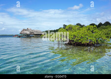 Îlot de palétuvier dans l'eau avec un restaurant tropical sur la mer en arrière-plan, la mer des Caraïbes, Panama, Bocas del Toro Banque D'Images