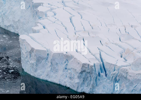 Glacier à Neko Harbour, péninsule antarctique, Andvord Bay, sur la côte ouest de la Terre de Graham Banque D'Images