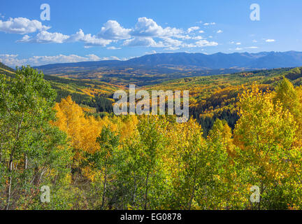 La Forêt Nationale de Gunnison, CO : la couleur de l'automne dans la vallée du ruisseau de l'Ohio et de l'Ouest dans l'Ouest de montagnes Elk Elk Wilderness Banque D'Images