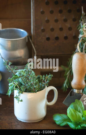 Mélange d'herbes de romarin et basilic dans mug blanc avec vintage ustensile de cuisine sur table en bois Banque D'Images