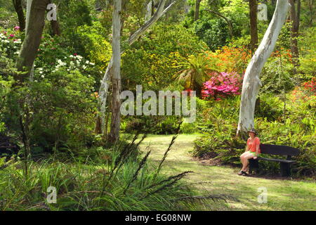 Une dame d'une trentaine d'années est assis sur un banc de parc entouré d'eucalyptus et de floraison de fleurs de printemps. Banque D'Images