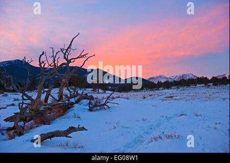 Rocky Mountain National Park, coucher de soleil, hiver, Paysage, Neige, arbre tombé