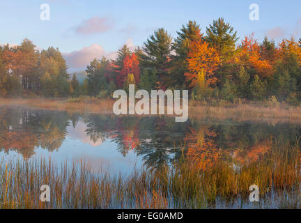 La forêt d'état du lac Supérieur, Michigan : Dawn réflexions sur le lac de Kingston avec automne forêt de couleur Banque D'Images