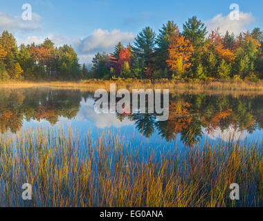 La forêt d'état du lac Supérieur, Michigan : Dawn réflexions sur le lac de Kingston avec automne forêt de couleur Banque D'Images