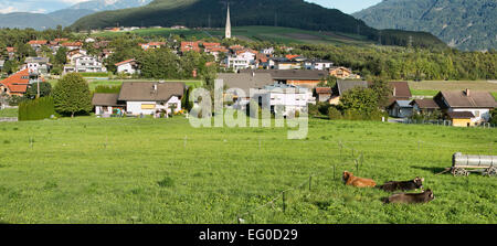 Autriche mountain valley village vaches en prairie Banque D'Images