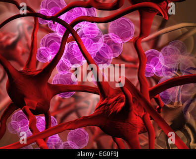 Les globules rouges du sang. Éléments sanguins close up Banque D'Images
