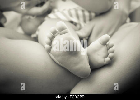 Bébé et parent, close-up of baby's feet Banque D'Images