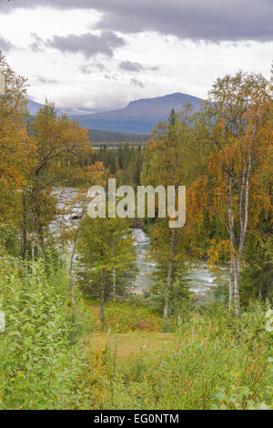 Vue de Kvikkjokk plus Kammasjokk avec zone de montagne dans la photo et couleurs d'automne sur les arbres Banque D'Images