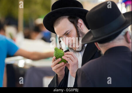 Un homme juif orthodoxe est la vérification d'un citron sur un marché de Jérusalem juste avant la soukka Banque D'Images