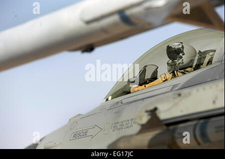 Le capitaine Bailyn Beck prépare un F-16 Fighting Falcon pour le décollage, le 18 octobre 2010, dans le cadre de Falcon Air Meet 2010 à la base aérienne d'Azraq, Jordanie. Le capitaine Beck est affecté à la 77e Escadron de chasse de la Shaw Air Force Base, L.C. (le s.. Eric Harris Banque D'Images