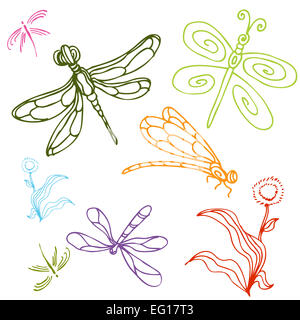 Une image d'un jeu de dessins de libellules. Banque D'Images