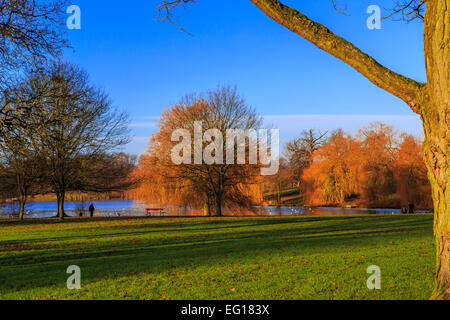 Des paysages pittoresques  ; à Himley Hall & Park à Dudley, West Midlands - le Pays Noir... ? Banque D'Images