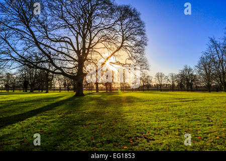 Des paysages pittoresques  ; à Himley Hall & Park à Dudley, West Midlands - le Pays Noir... ? Banque D'Images