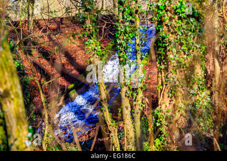 Des paysages pittoresques  ; à Himley Hall & Park à Dudley, West Midlands - le Pays Noir... ? Banque D'Images