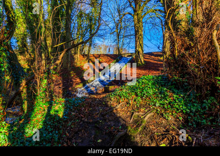 Des paysages pittoresques  ; à Himley Hall & Park à Dudley, West Midlands - le Pays Noir... ? Banque D'Images