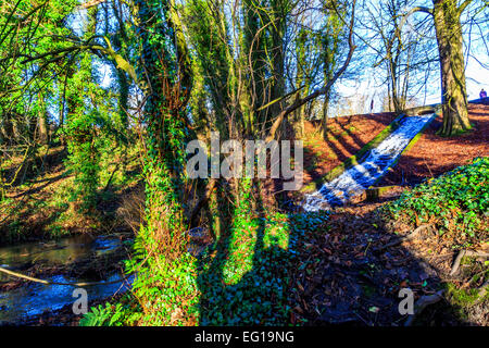 Des paysages pittoresques  ; à Himley Hall & Park à Dudley, West Midlands - le Pays Noir... ? Banque D'Images