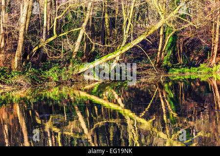 Paysages pittoresques à Himley Hall & Park à Dudley, West Midlands - le Pays Noir Banque D'Images