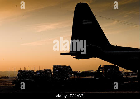 YOKOTA AIR BASE, Japon -- palettes de fournitures médicales se rendent sur un C-130H Hercules ici le 19 mars. Fournitures médicales ont été transportés à Sendai et Hanamaki Airport pour être distribués aux hôpitaux locaux et les centres d'évacuation dans le cadre de l'opération Tomodachi. Le s.. Jonathan Steffen Banque D'Images