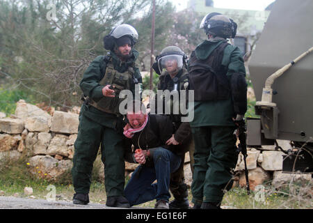 Ramallah. Feb 13, 2015. Des soldats israéliens à l'arrestation d'un manifestant palestinien lors d'une manifestation hebdomadaire contre le mur de séparation dans le village cisjordanien de Bil'in près de Ramallah, le 13 février 2015. © Fadi Arouri/Xinhua/Alamy Live News Banque D'Images