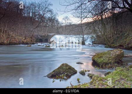 Monsal Weir sur la rivière Wye dans Dale Monsal, Little Longstone, parc national de Peak District, Derbyshire.L'Angleterre. UK. Go Banque D'Images