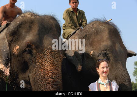 CHITWAN, NÉPAL - 14 OCTOBRE : éléphants indiens -Elephas maximus indicus- transport de touristes en safari à l'aube grâce à Chitwan. Banque D'Images