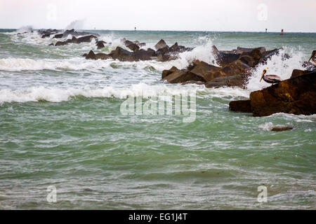 Fort ft. Pierce Florida, fort Pierce Inlet Water State Park, l'eau de l'océan Atlantique, surf brut, jetée, brise-lames, pélican brun, les visiteurs se rendent à Banque D'Images