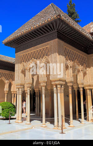 Cour des Lions, à l'Alhambra, Grenade, Andalousie, Espagne Banque D'Images