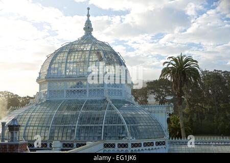 La Véranda victorienne de fleurs jardin botanique dans le parc du Golden Gate, San Francisco, Californie. Banque D'Images