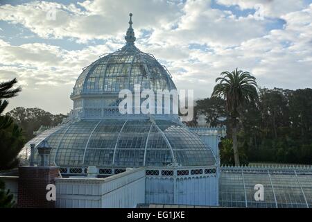 La Véranda victorienne de fleurs jardin botanique dans le parc du Golden Gate, San Francisco, Californie. Banque D'Images