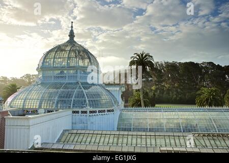 La Véranda victorienne de fleurs jardin botanique dans le parc du Golden Gate, San Francisco, Californie. Banque D'Images