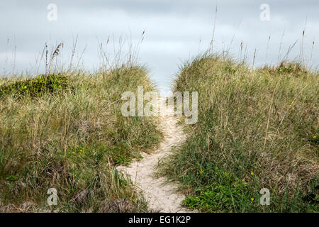 Sebastian Florida,North Hutchinson Orchid Island,Sebastian Inlet Water State Park,dune de sable naturel,herbe,sentier,colline,les visiteurs voyage tour tou Banque D'Images