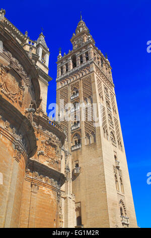 La Tour Giralda, de la cathédrale Sainte Marie de l'Voir (Catedral de Santa Maria de la Sede), Séville, Andalousie, Espagne Banque D'Images