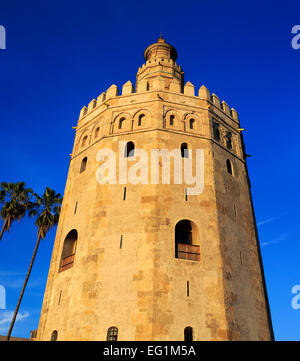 La Torre del Oro (tour d'Or), Séville, Andalousie, Espagne Banque D'Images