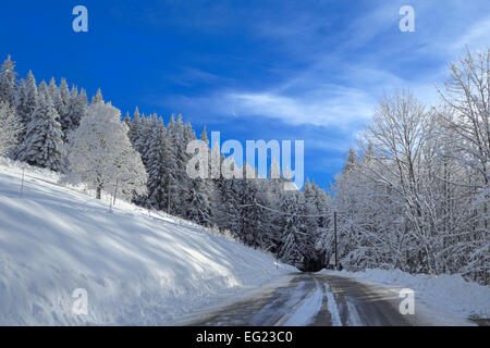 Vallée de l'Arves, près de Samoëns, Saint-Sigismond, Haute-Savoie, France Banque D'Images