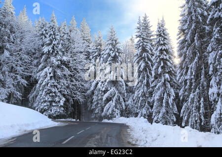 Vallée de l'Arves, près de Samoëns, Saint-Sigismond, Haute-Savoie, France Banque D'Images