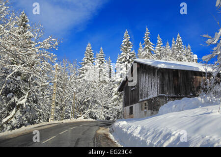 Vallée de l'Arves, près de Samoëns, Saint-Sigismond, Haute-Savoie, France Banque D'Images