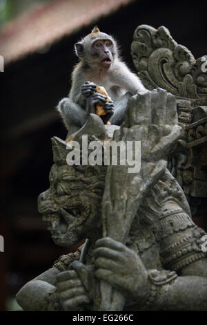 Un singe macaque à Ubud, Bali, Indonésie Banque D'Images