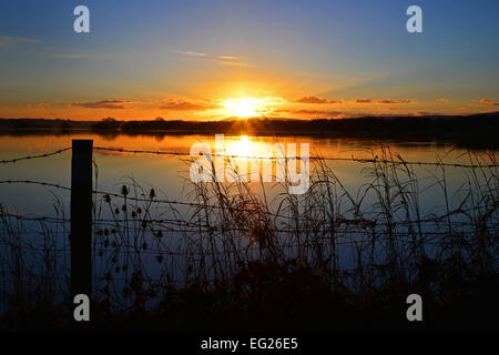 Les plaines d'inondation Pulborough Banque D'Images