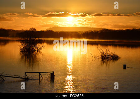 Les plaines d'inondation Pulborough Banque D'Images