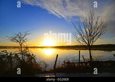 Les plaines d'inondation Pulborough Banque D'Images