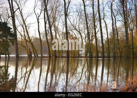 Les plaines d'inondation Pulborough Banque D'Images