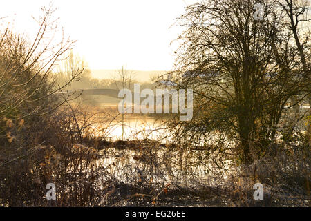 Les plaines d'inondation Pulborough Banque D'Images