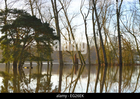 Les plaines d'inondation Pulborough Banque D'Images