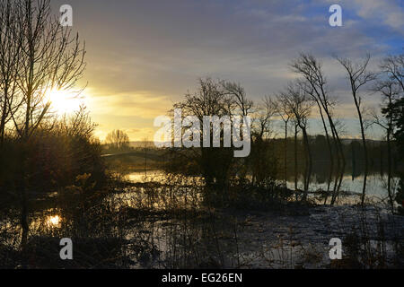 Les plaines d'inondation Pulborough Banque D'Images