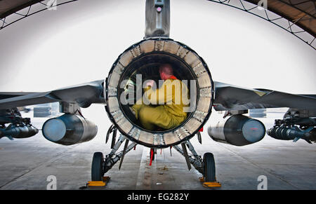 Airman Senior Nate Hall effectue une inspection après vol sur un F-16 Fighting Falcon le 5 juillet 2013, à l'aérodrome de Kandahar, Afghanistan. Inspecter les avions responsables de fuites, fissures ou tout ce qui peut compromettre l'intégrité de l'avion. Hall est un mainteneur d'aéronefs déployés dans le 451e Escadron de maintenance des aéronefs de la Force expéditionnaire du Canada. Saldukas Senior Airman Scott Banque D'Images