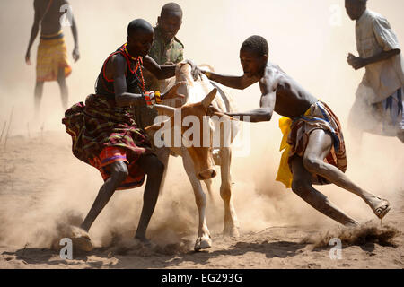 Les hommes tentent de maîtriser un fugueur bull Aug.t 5, 2012, le Kenya en Daaba. La Force opérationnelle interarmées - Corne de l'Afrique comprend de nombreux projets d'action civique, vétérinaire, qui renforcent les capacités des agents de santé animale, assurer la santé du bétail, d'améliorer l'agriculture et de la stabilité économique, et de développer un climat de confiance avec nos partenaires. Tech. Le Sgt. Daniel St. Pierre Banque D'Images