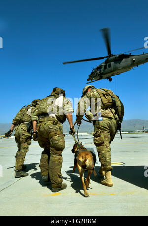 Tactique de l'armée américaine des chiens détecteurs d'explosifs et de leurs maîtres se tour hissé dans un HH-60G Pave Hawk par 83e Escadron de sauvetage expéditionnaire pararescuemen au cours de la formation commune du 21 juin 2013, à l'aérodrome de Bagram, en Afghanistan. Le TED les chiens sont formés pour trouver des explosifs à l'extérieur de la base. Les chances qu'ils ont besoin au cours des opérations de sauvetage sont élevés, ce qui rend cette formation importante pour les deux branches, selon le maître-chien. Le s.. Stephenie Wade Banque D'Images