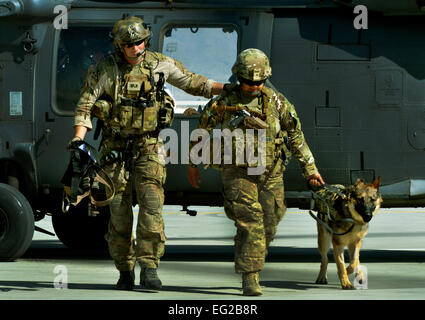 Un membre de la 1re classe Jason Fischman à gauche de l'armée américaine et le Sgt. Alero Nina et son chien Rex, descendre un HH-60G Pave Hawk au cours de la formation en sauvetage le 21 juin 2013, à l'aérodrome de Bagram, en Afghanistan. Cette formation a été une première pour les deux branches et les a préparés pour les missions de sauvetage. Fischman est un pararescueman avec le 83e Escadron de sauvetage expéditionnaire et Alero est un chien de détection d'explosifs. Le s.. Stephenie Wade Banque D'Images